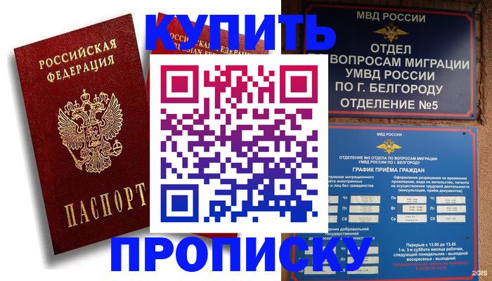 прописка иностранных граждан в Десногорске